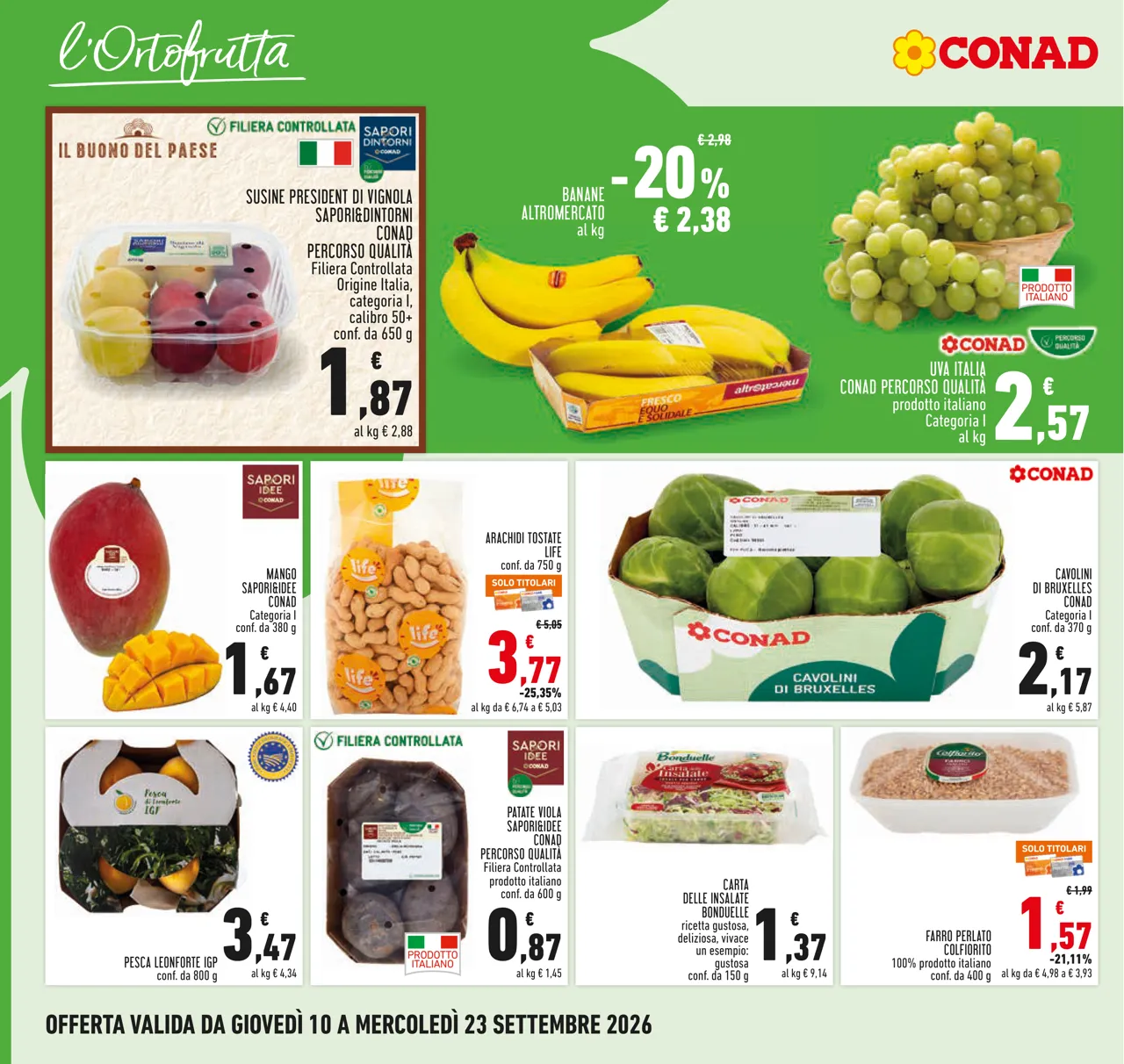 Pagina 8