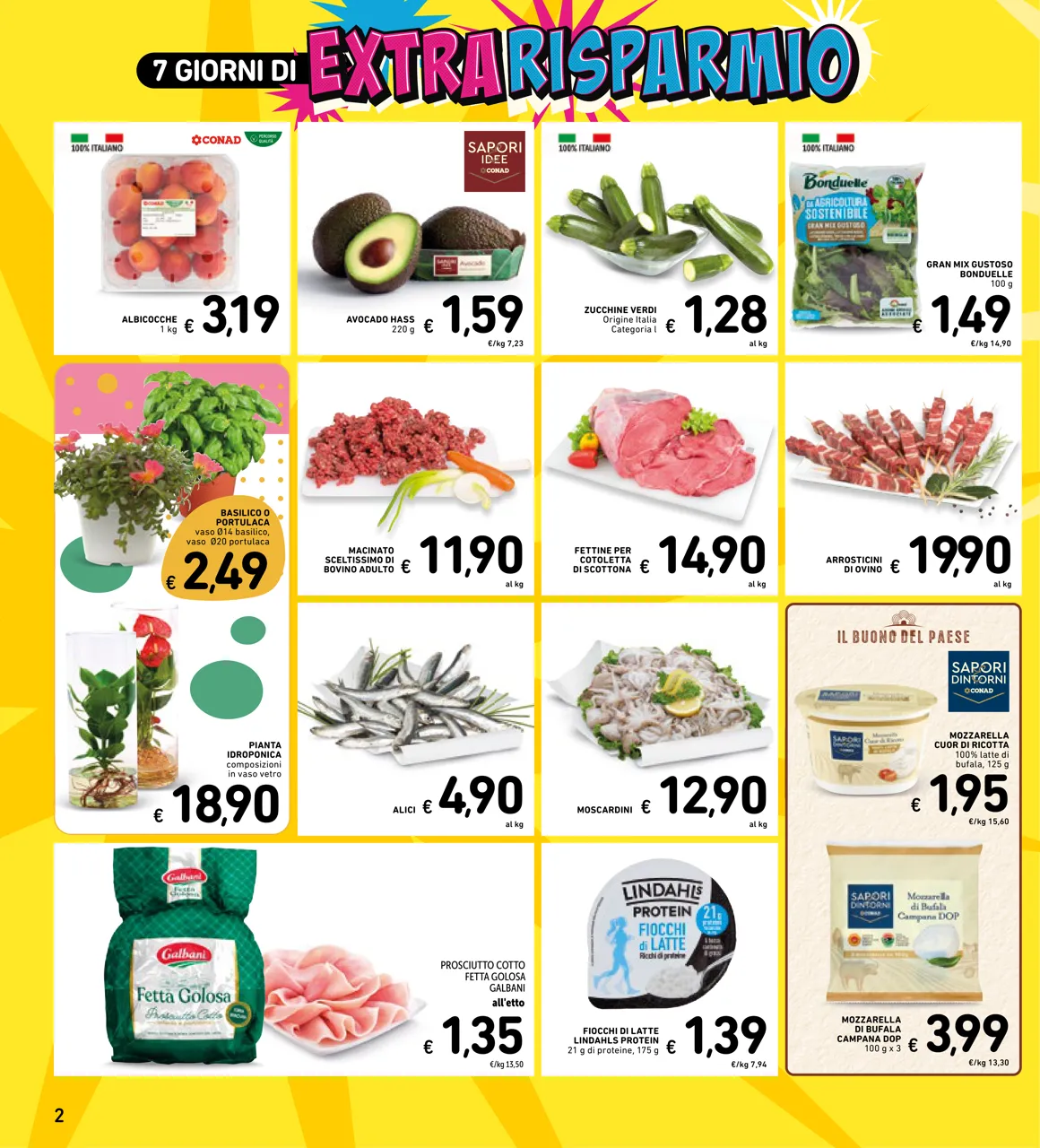 Pagina 29