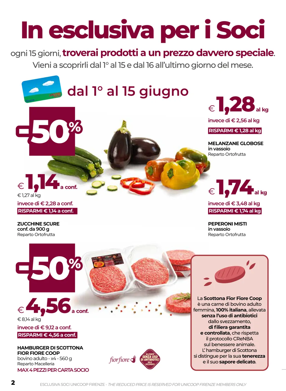 Pagina 2