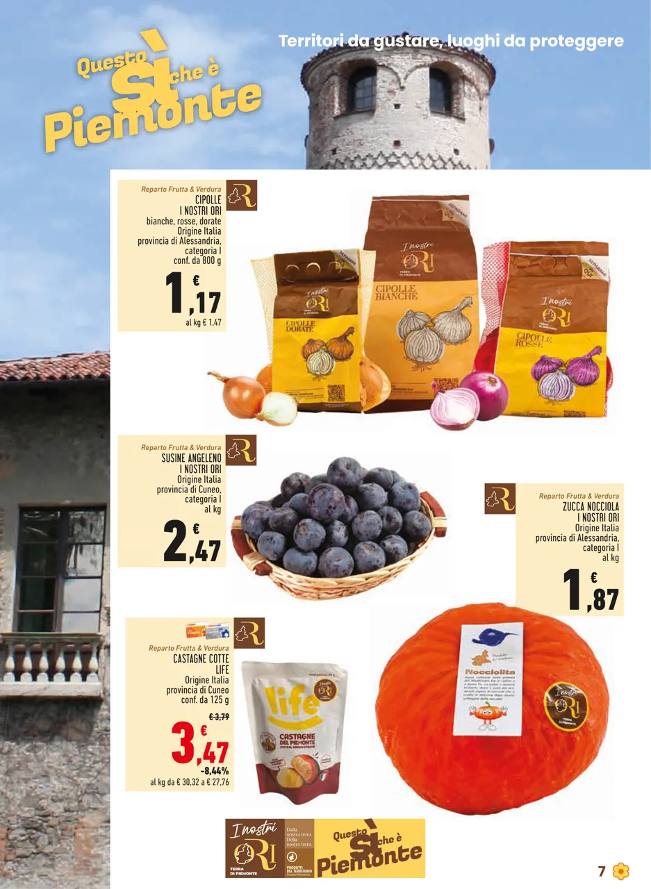 Pagina 7