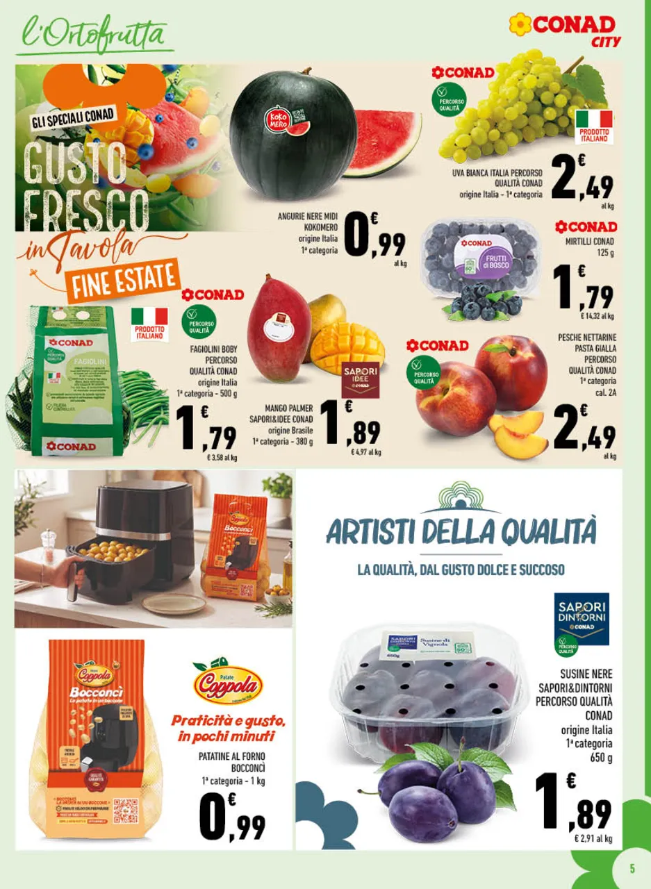 Pagina 5