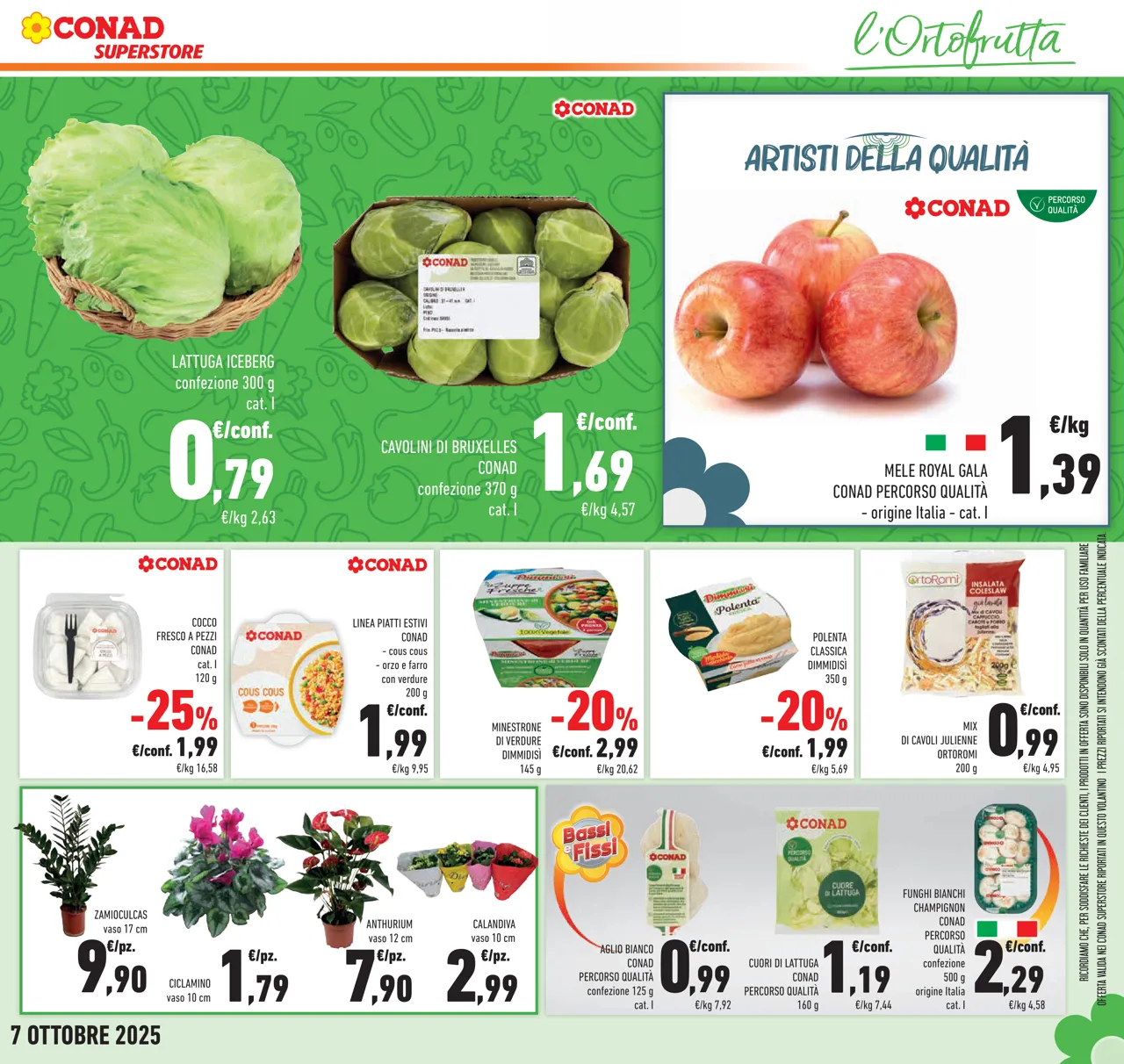 Pagina 11