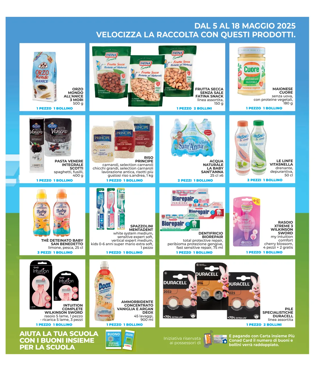 Pagina 31