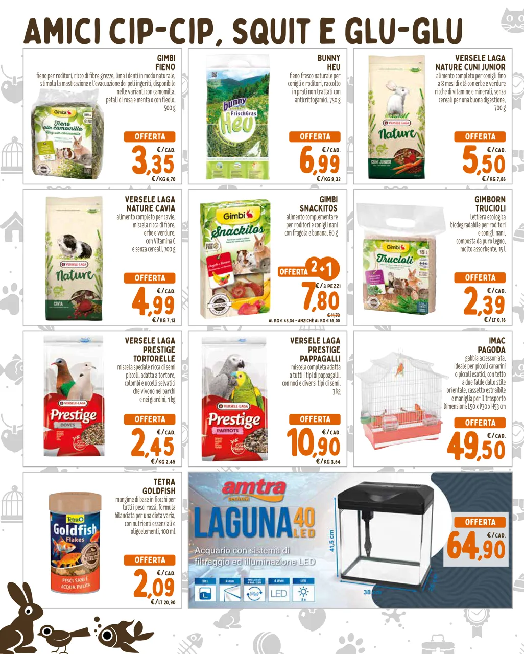 Pagina 6