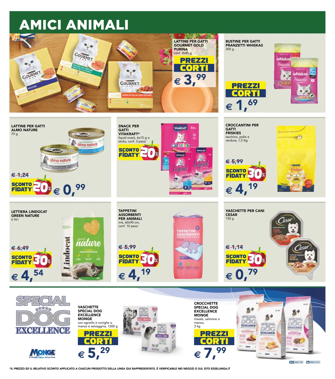 Pagina 19