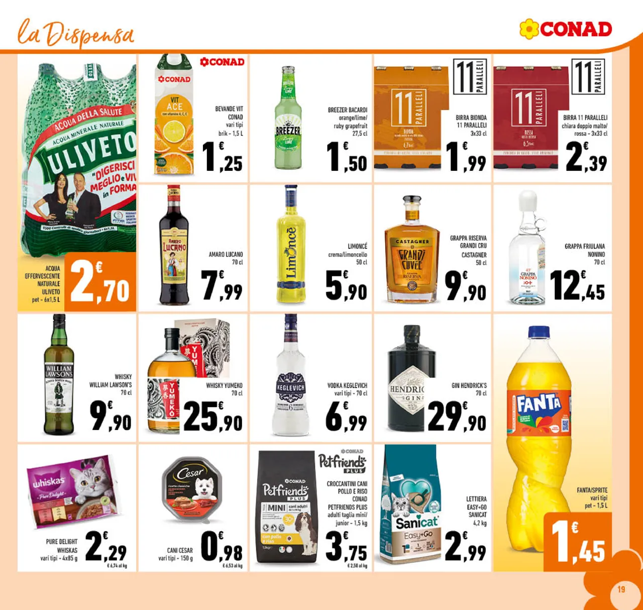 Pagina 19