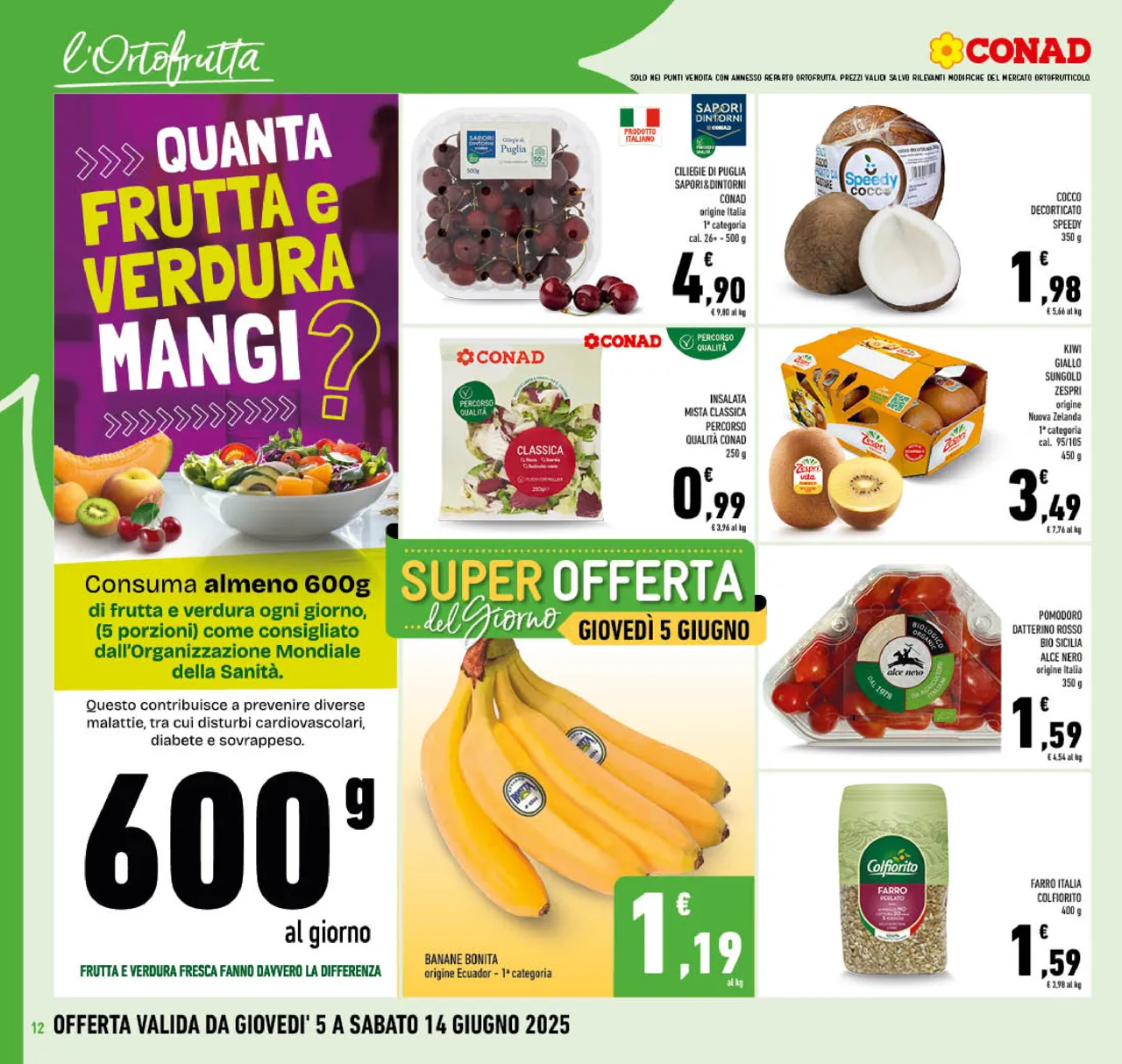 Pagina 12