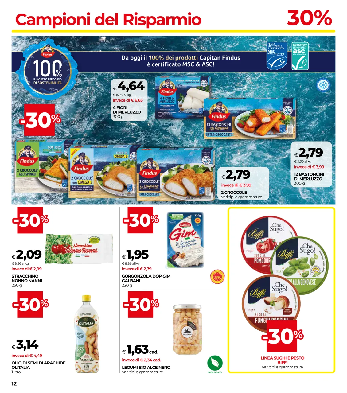 Pagina 12