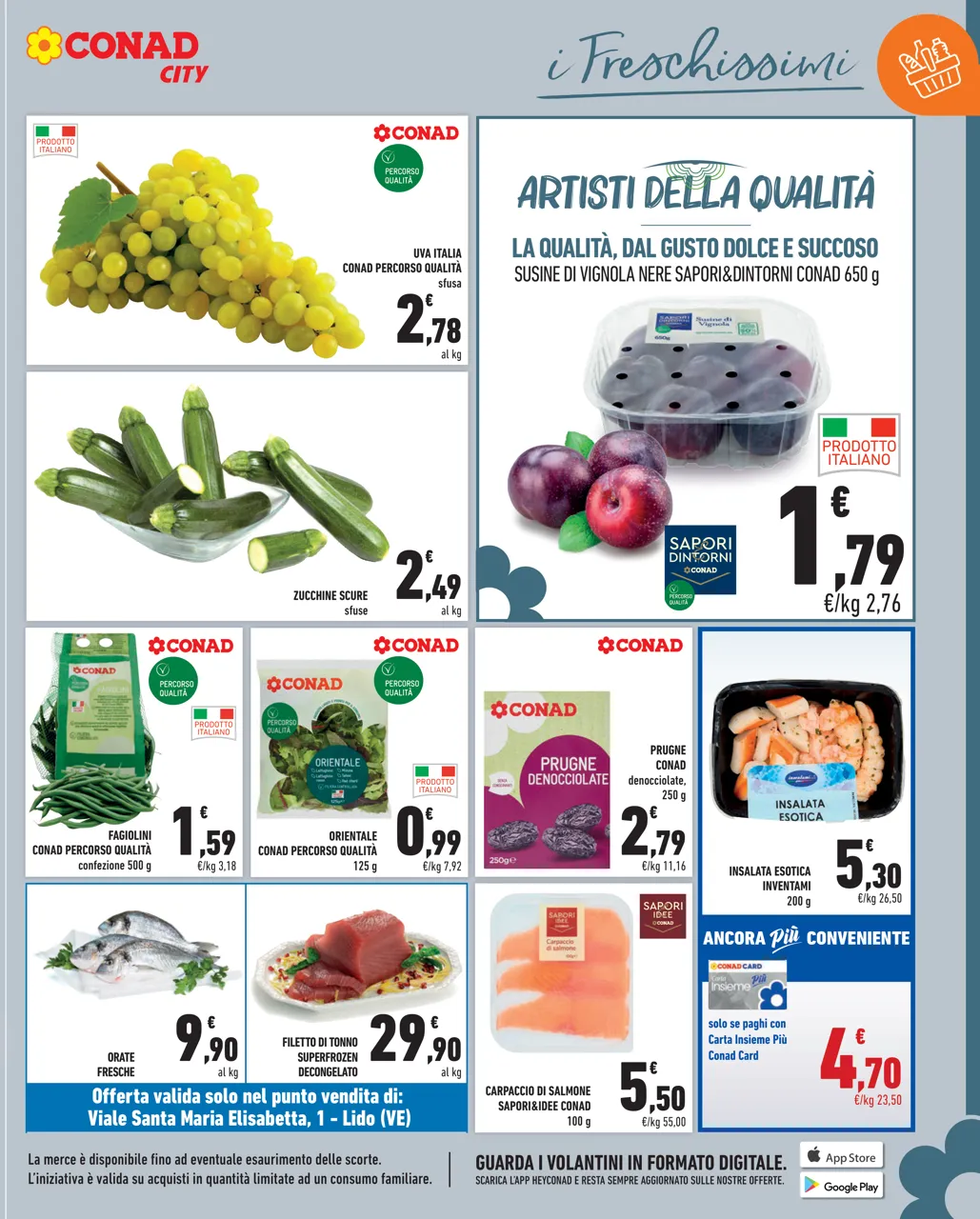 Pagina 11
