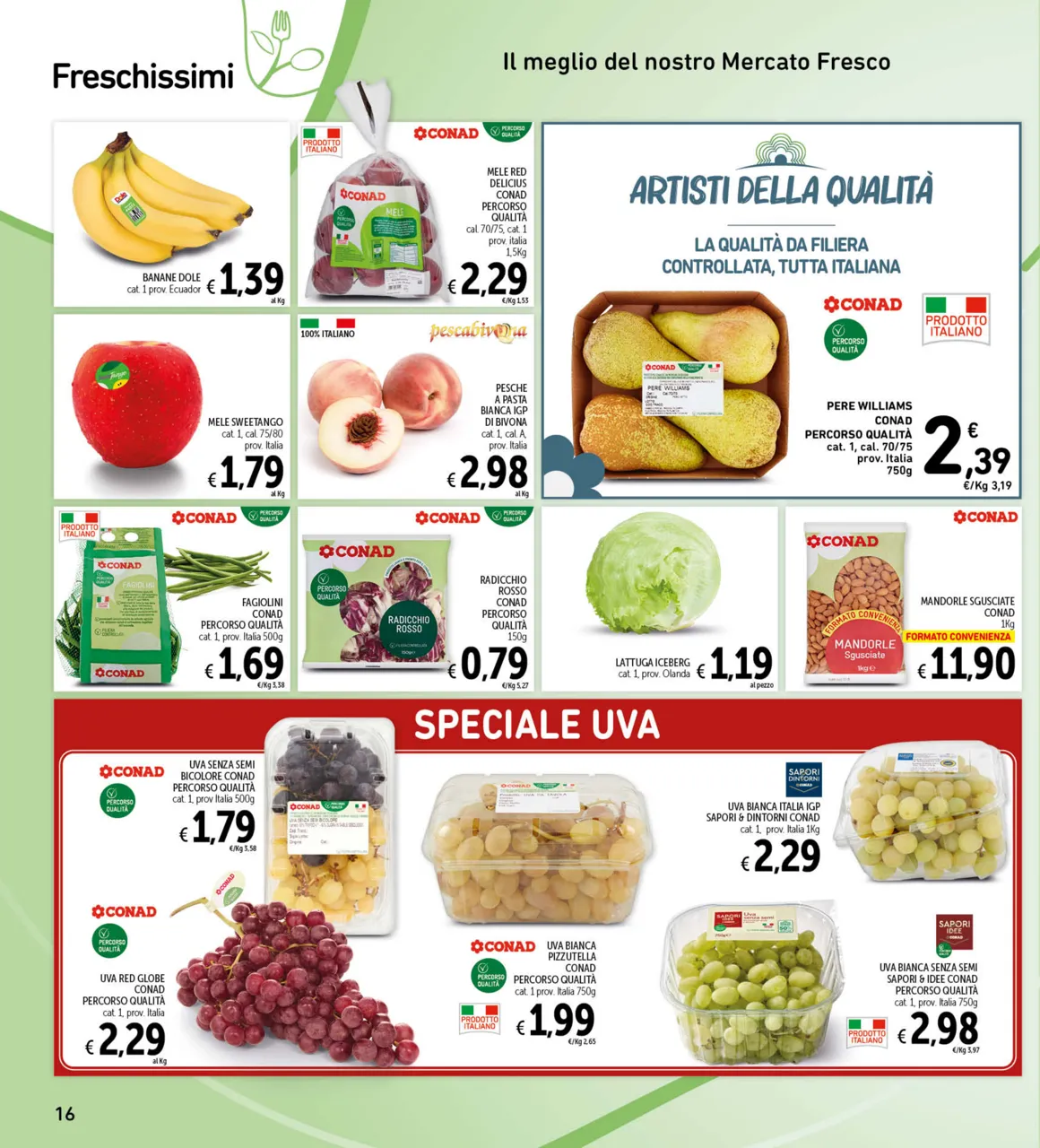 Pagina 16