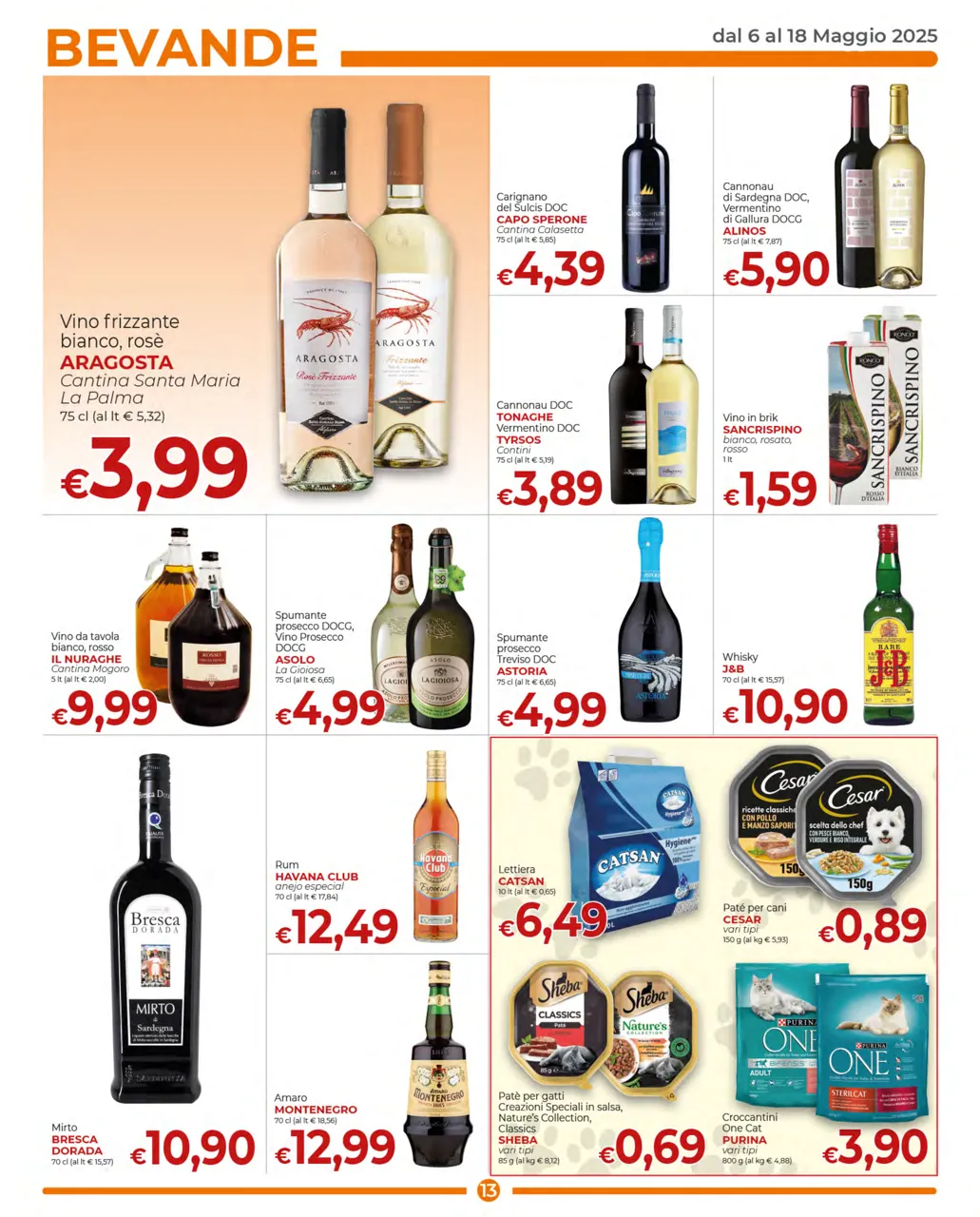 Pagina 13