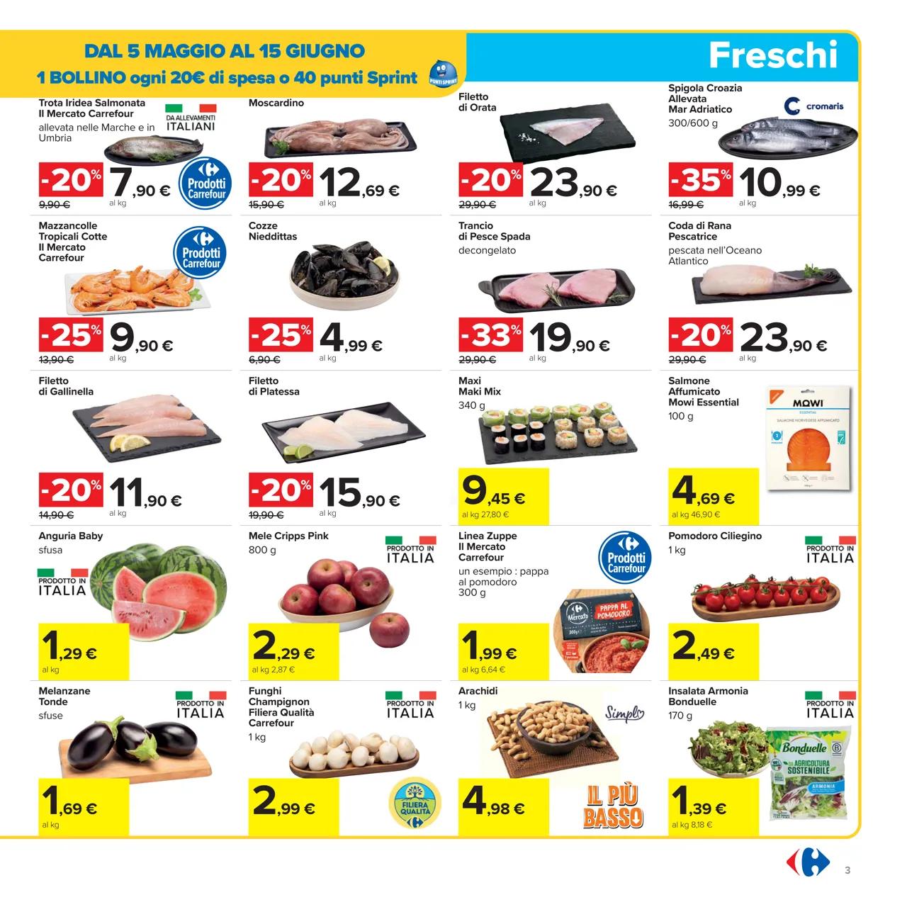 Pagina 3