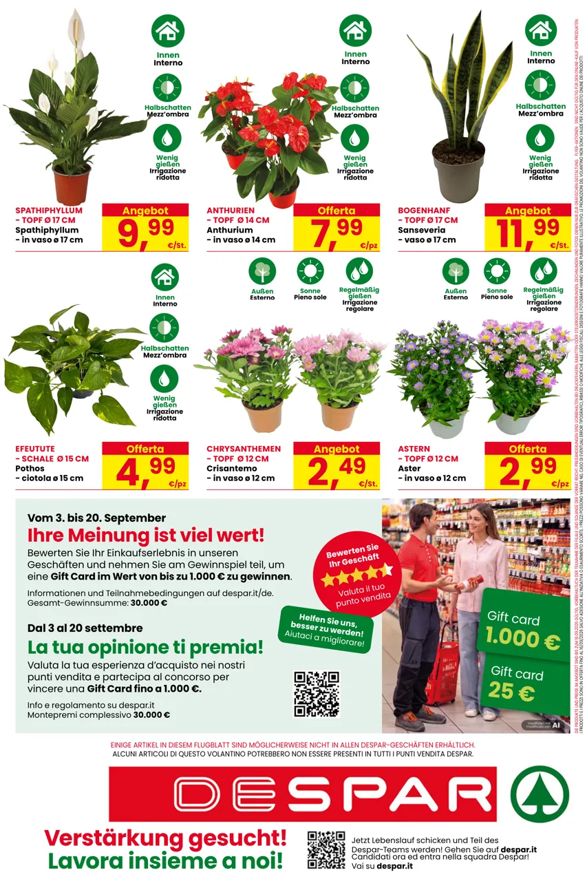 Pagina 16