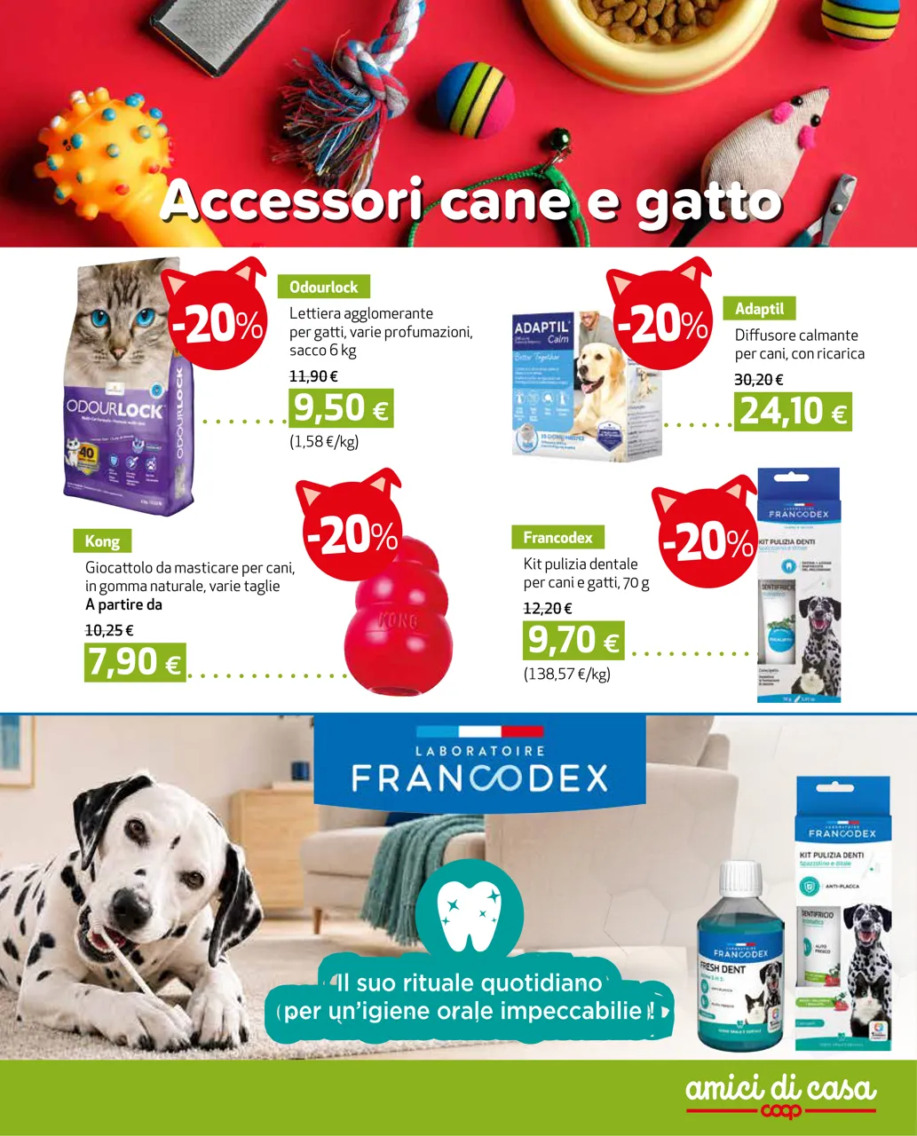 Pagina 7