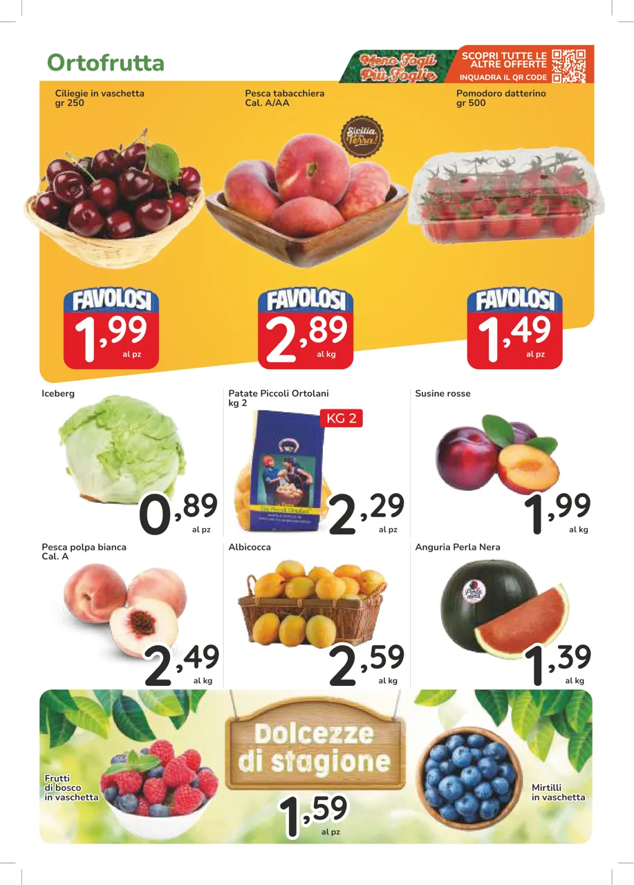 Pagina 5