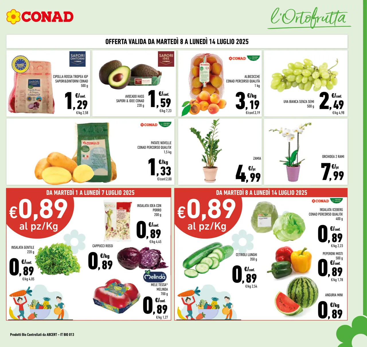 Pagina 3