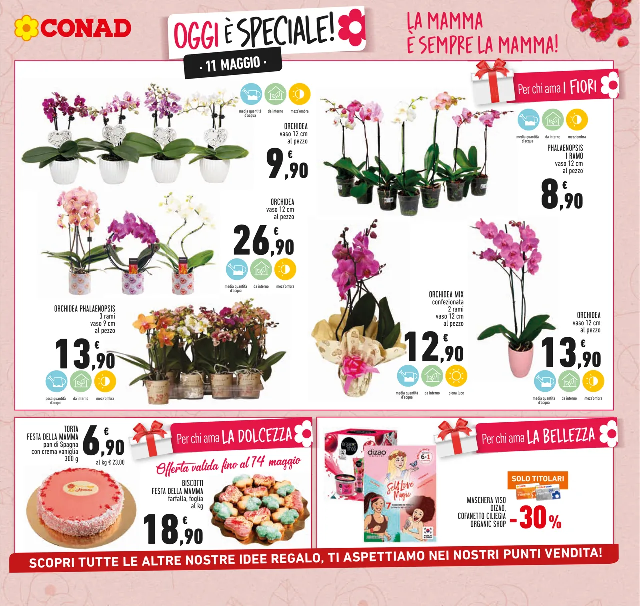 Pagina 7