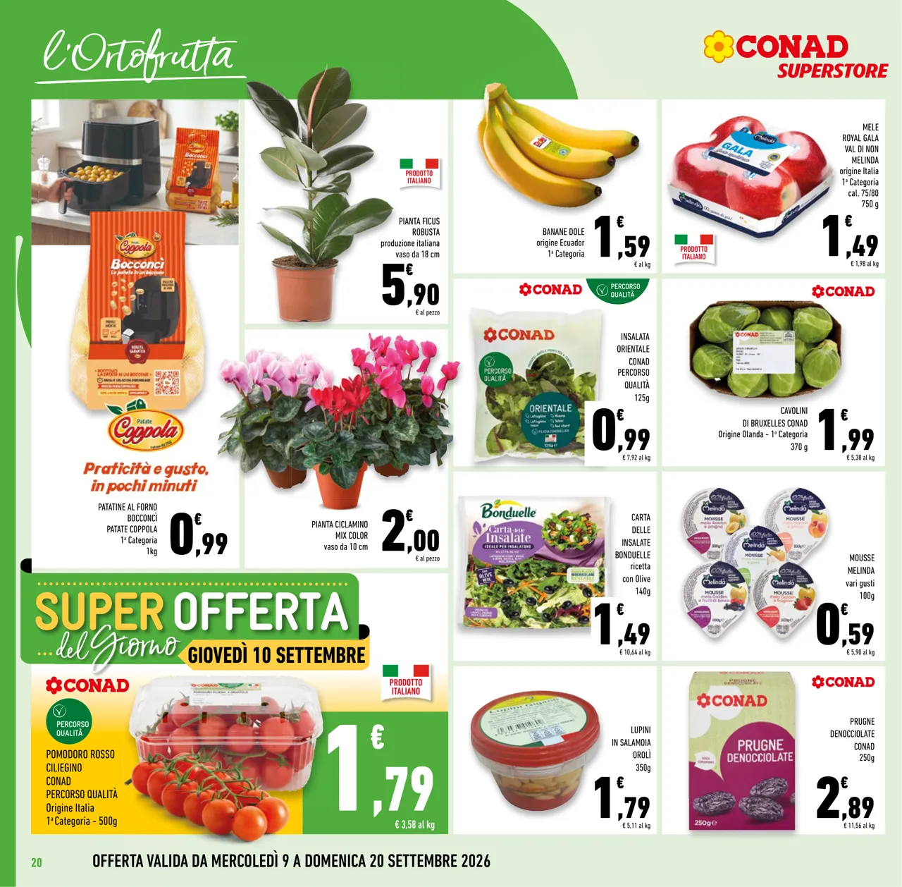 Pagina 20