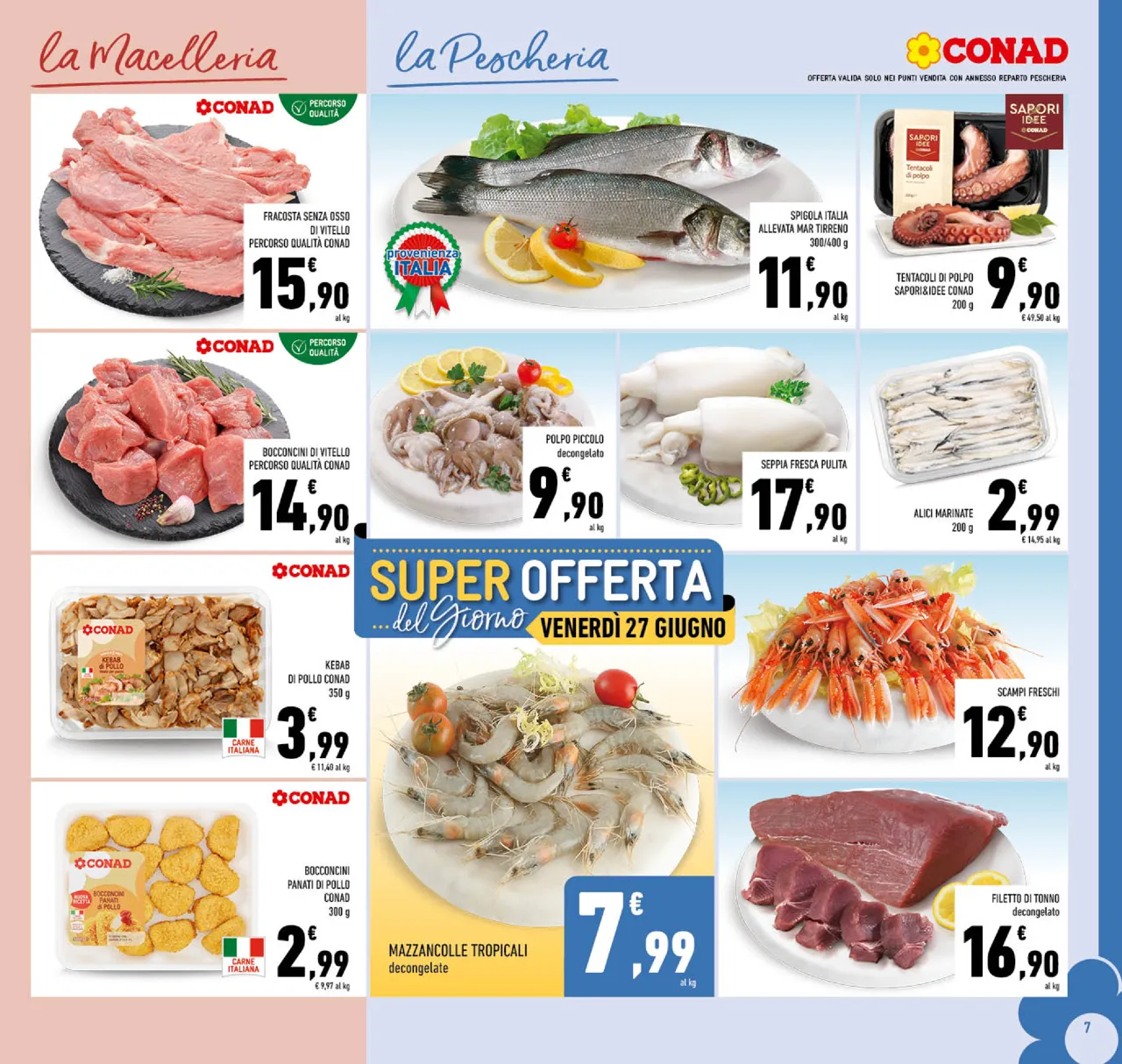 Pagina 7