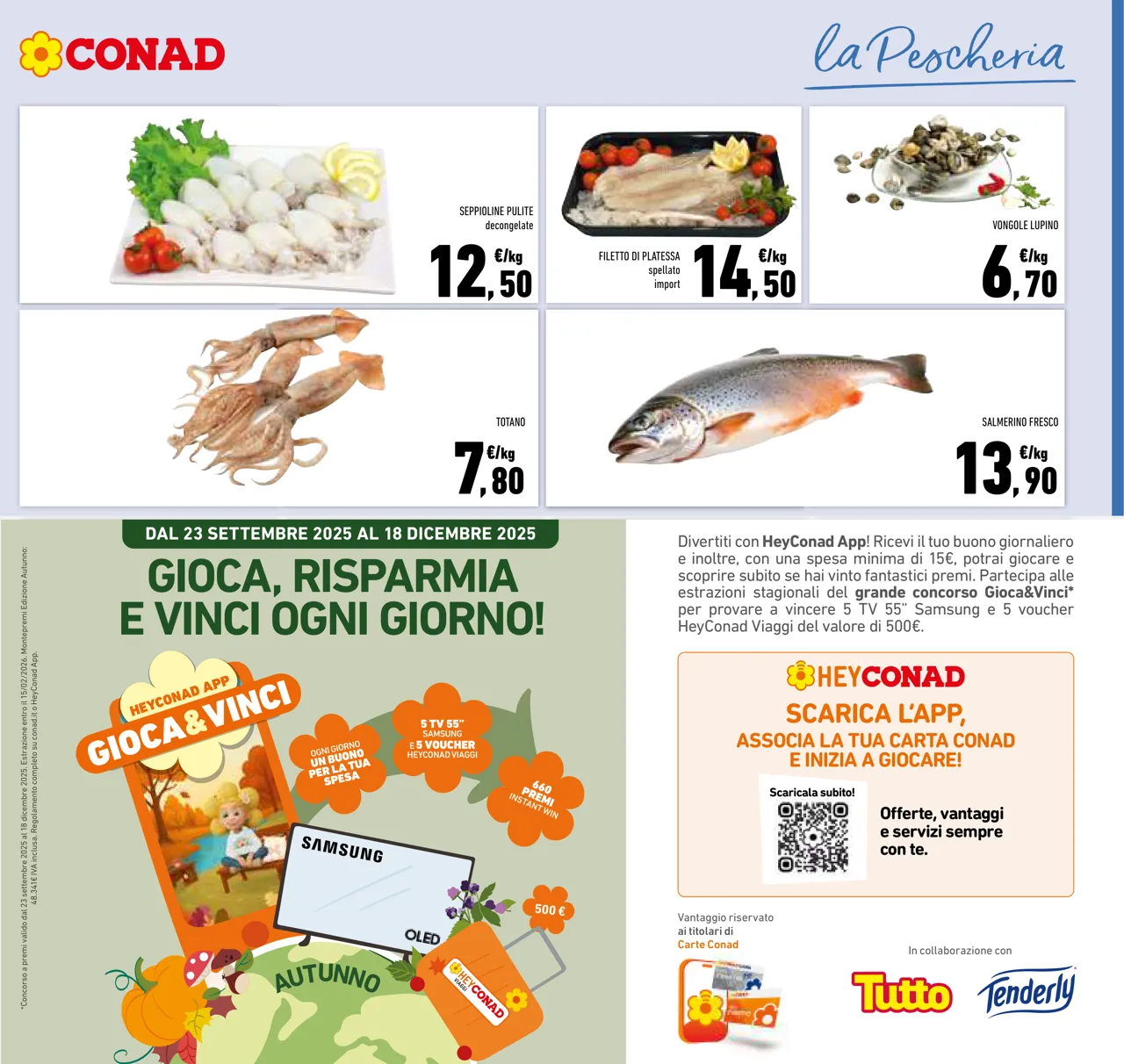 Pagina 7