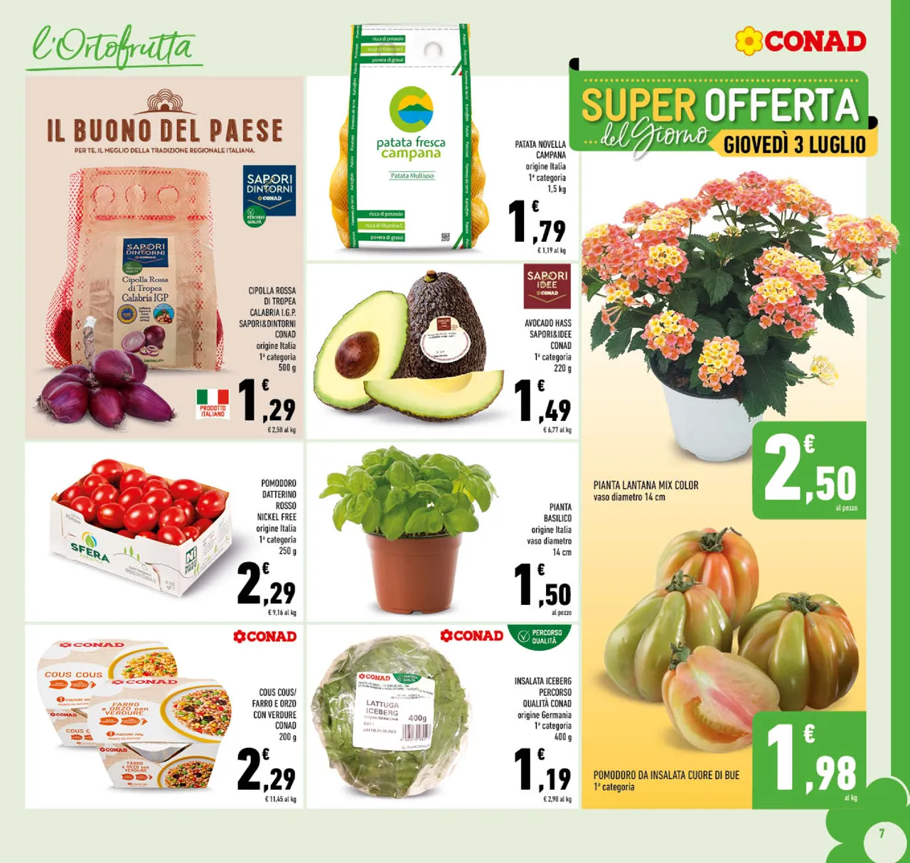 Pagina 7