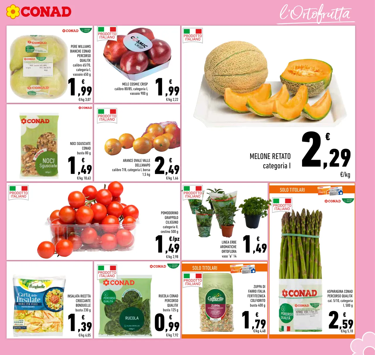 Pagina 5