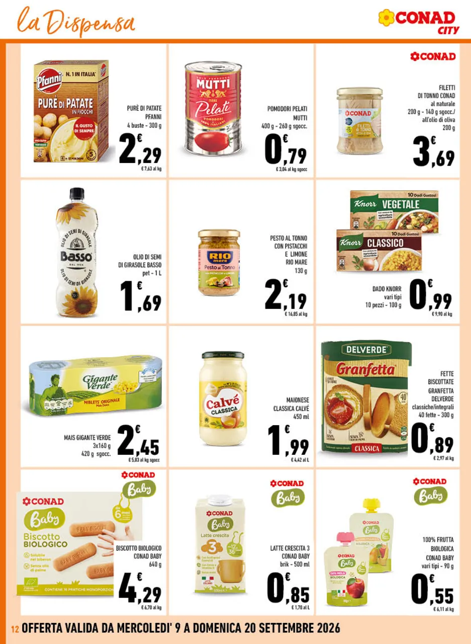 Pagina 12