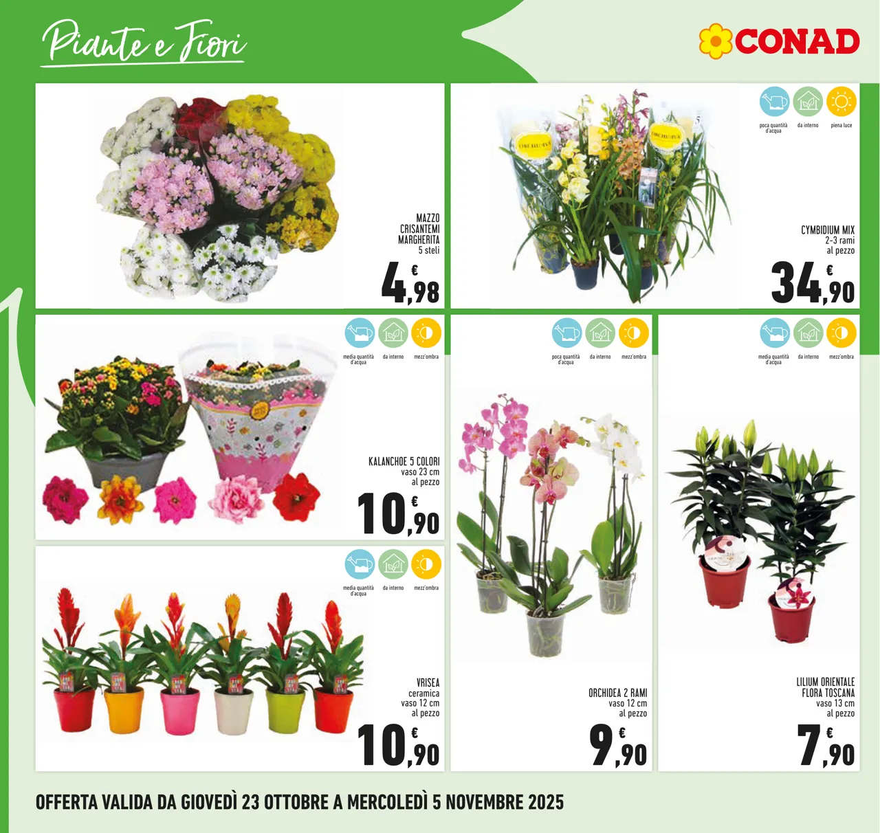 Pagina 26