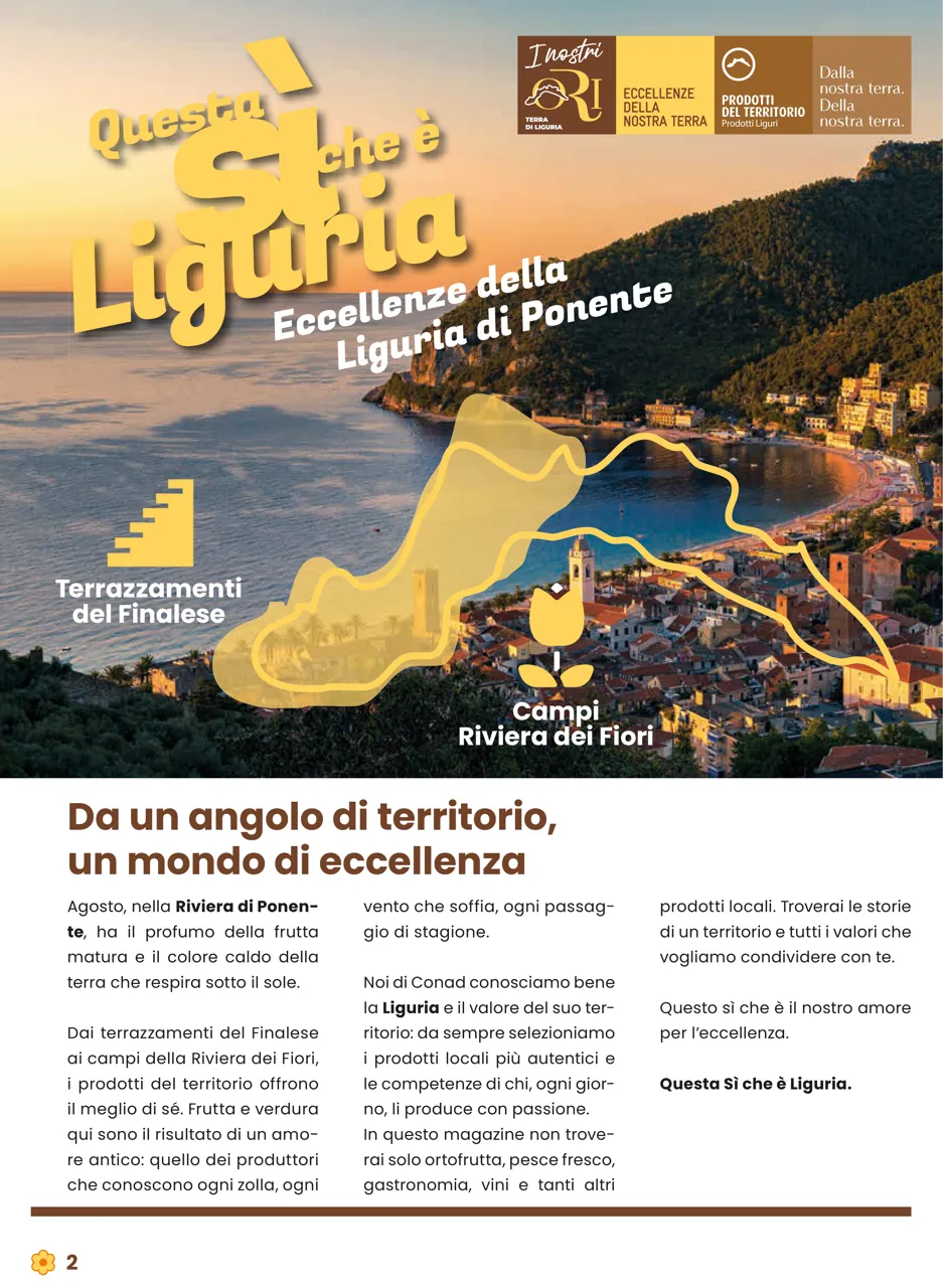 Pagina 2