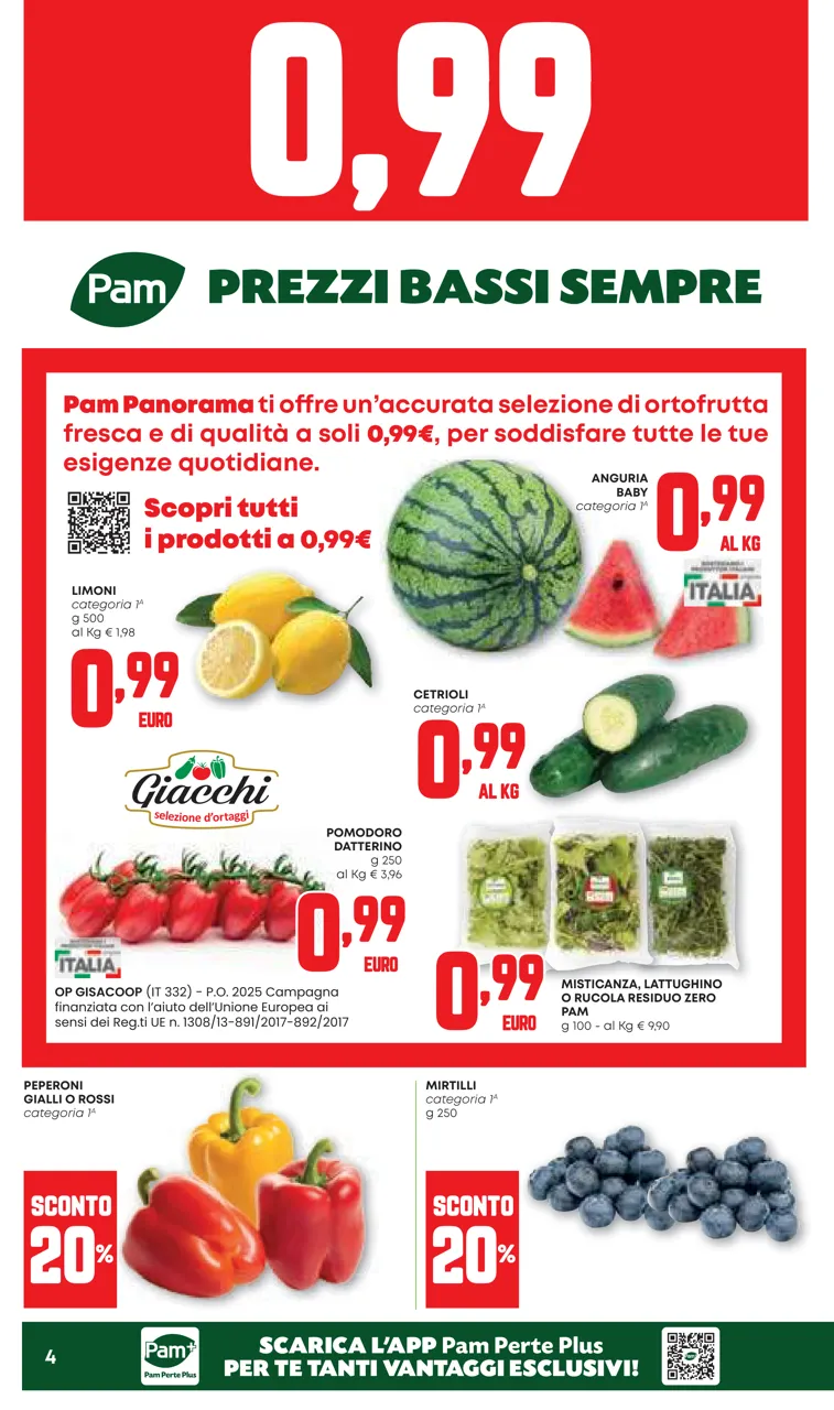 Pagina 4