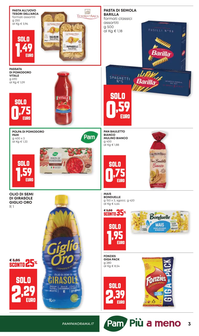 Pagina 3