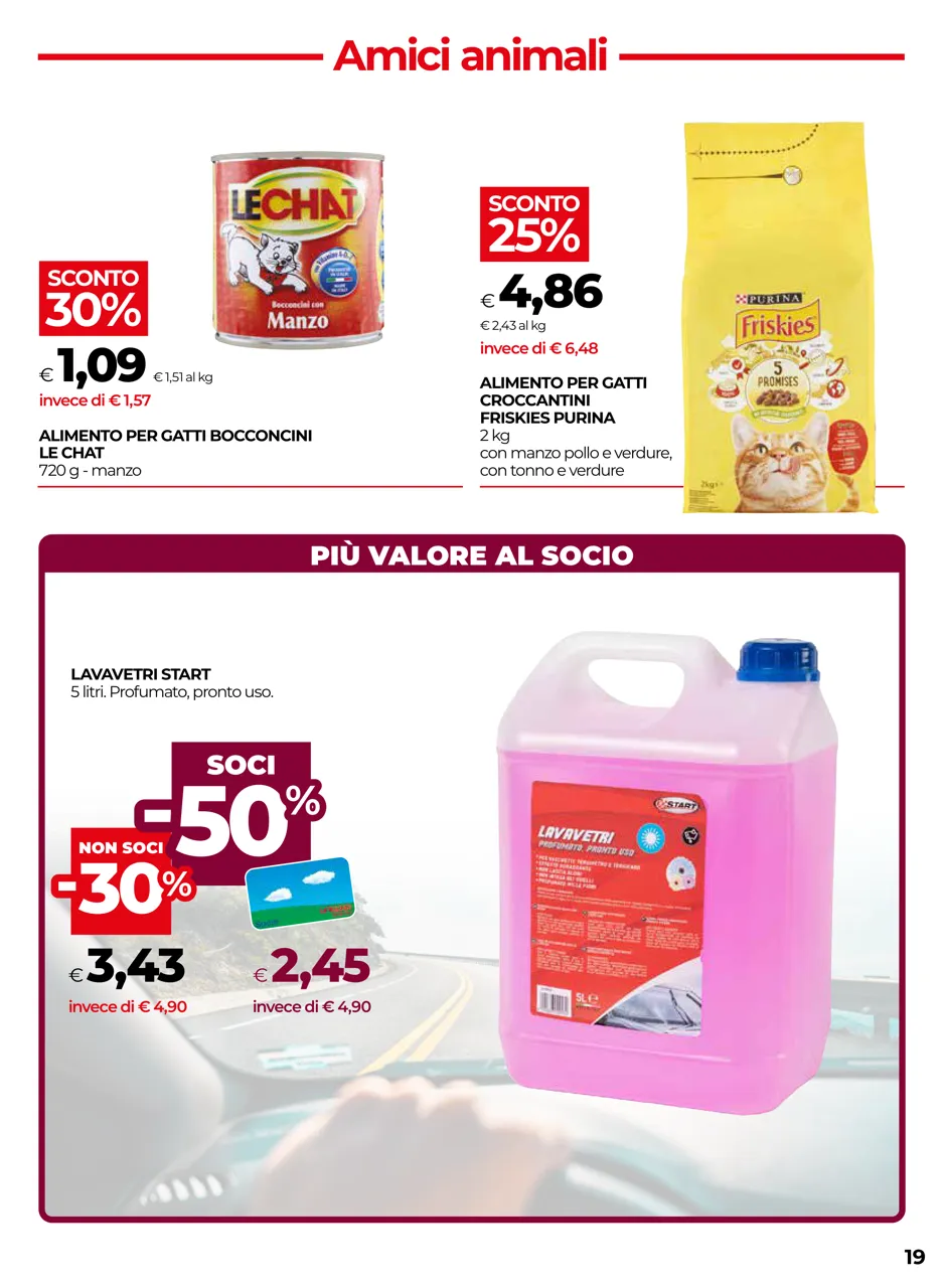 Pagina 19