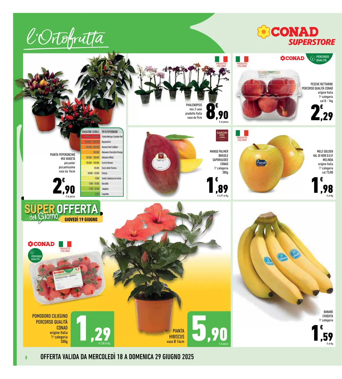 Pagina 8