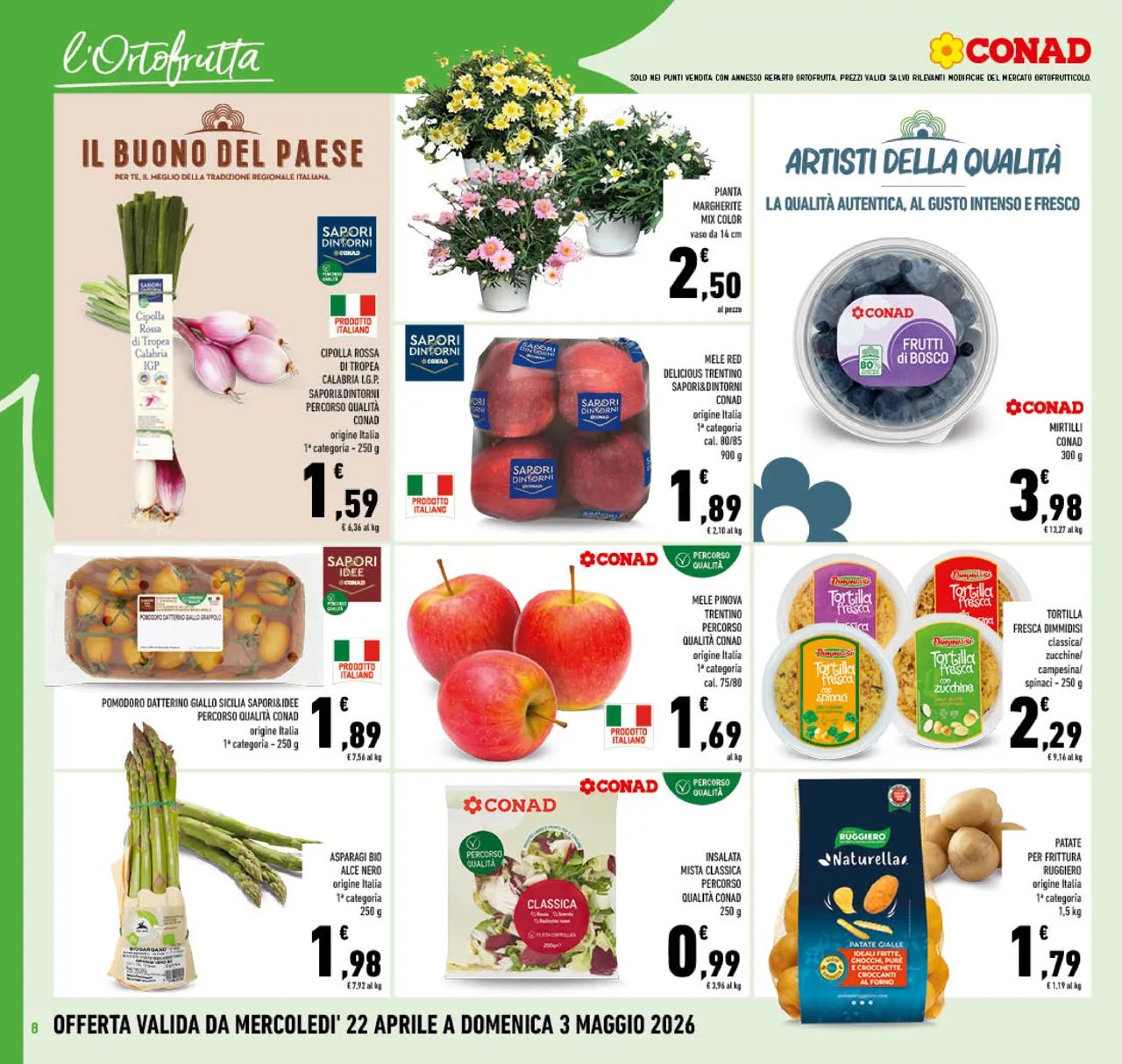 Pagina 8