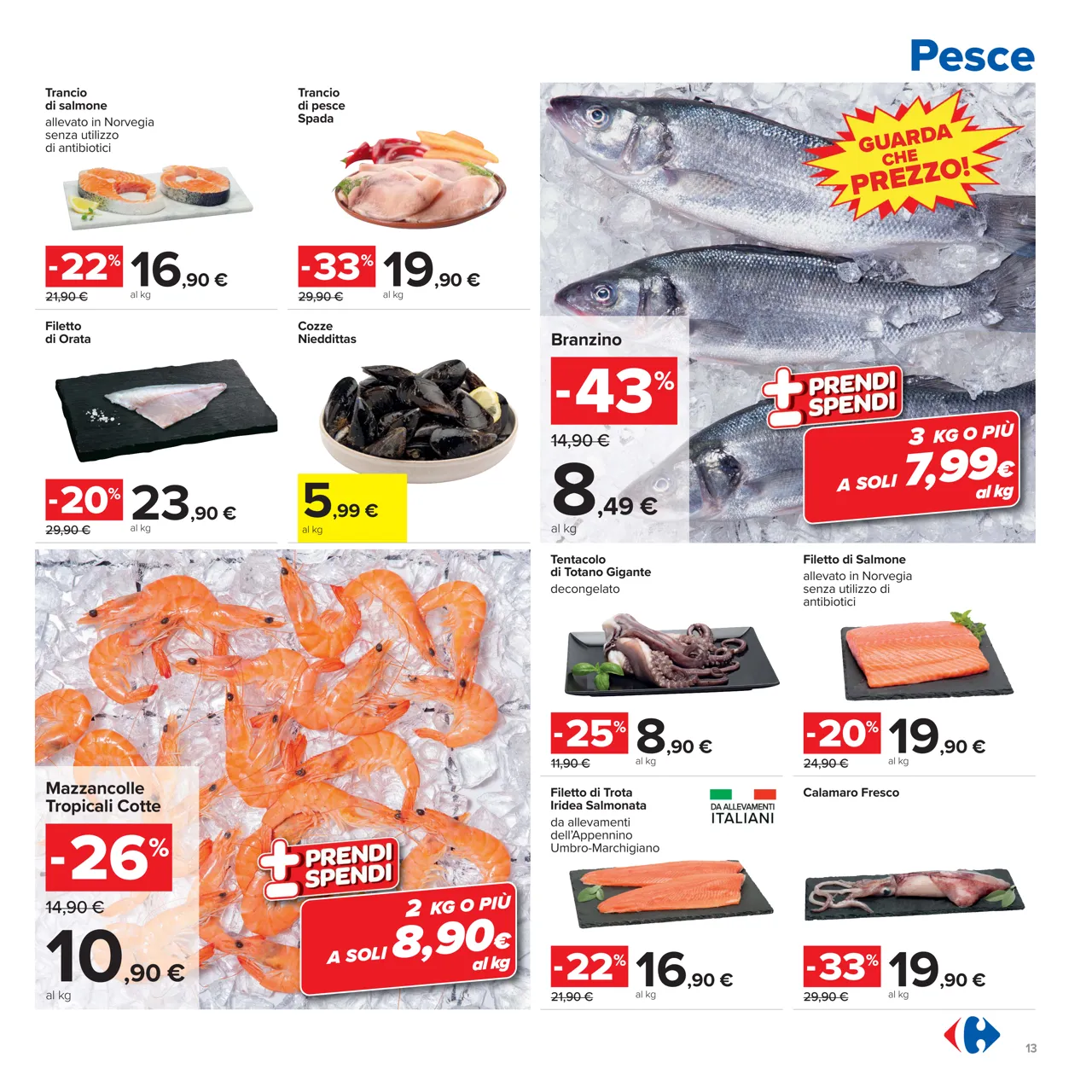 Pagina 13
