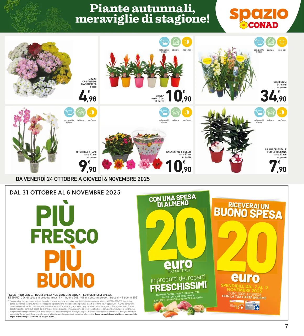 Pagina 7