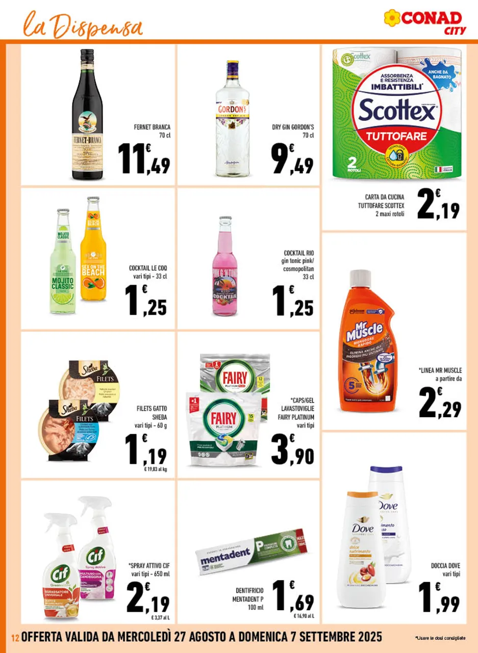 Pagina 12
