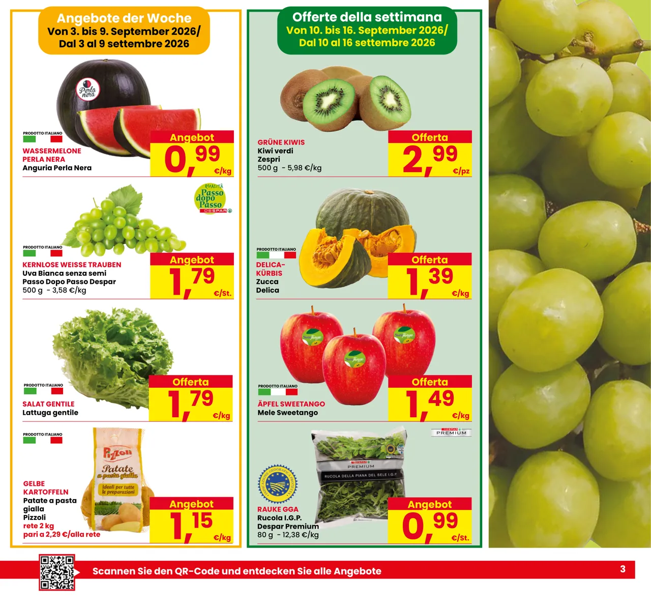 Pagina 3
