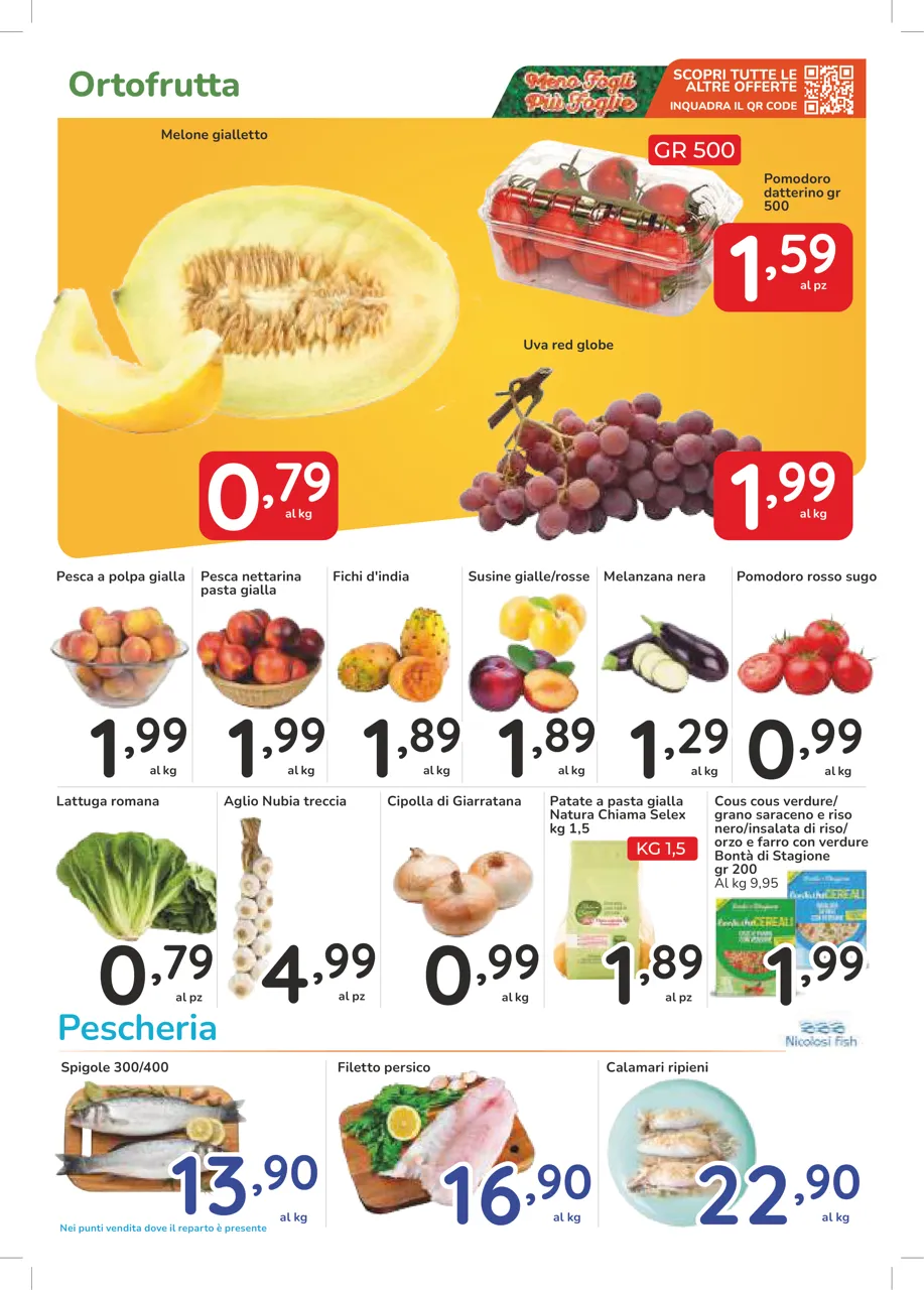 Pagina 7