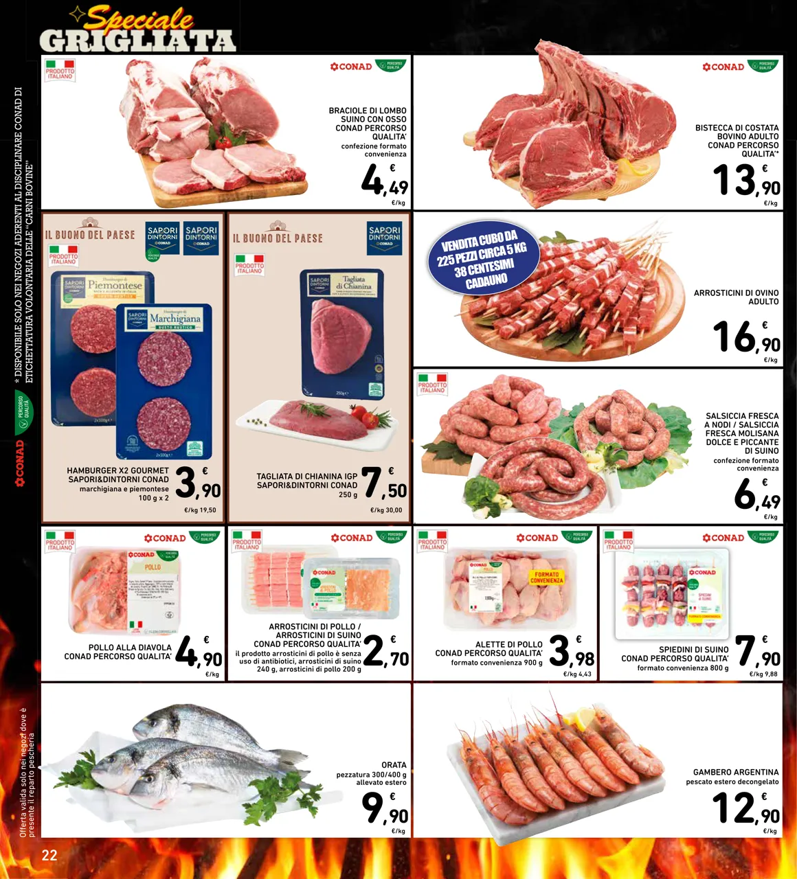 Pagina 22
