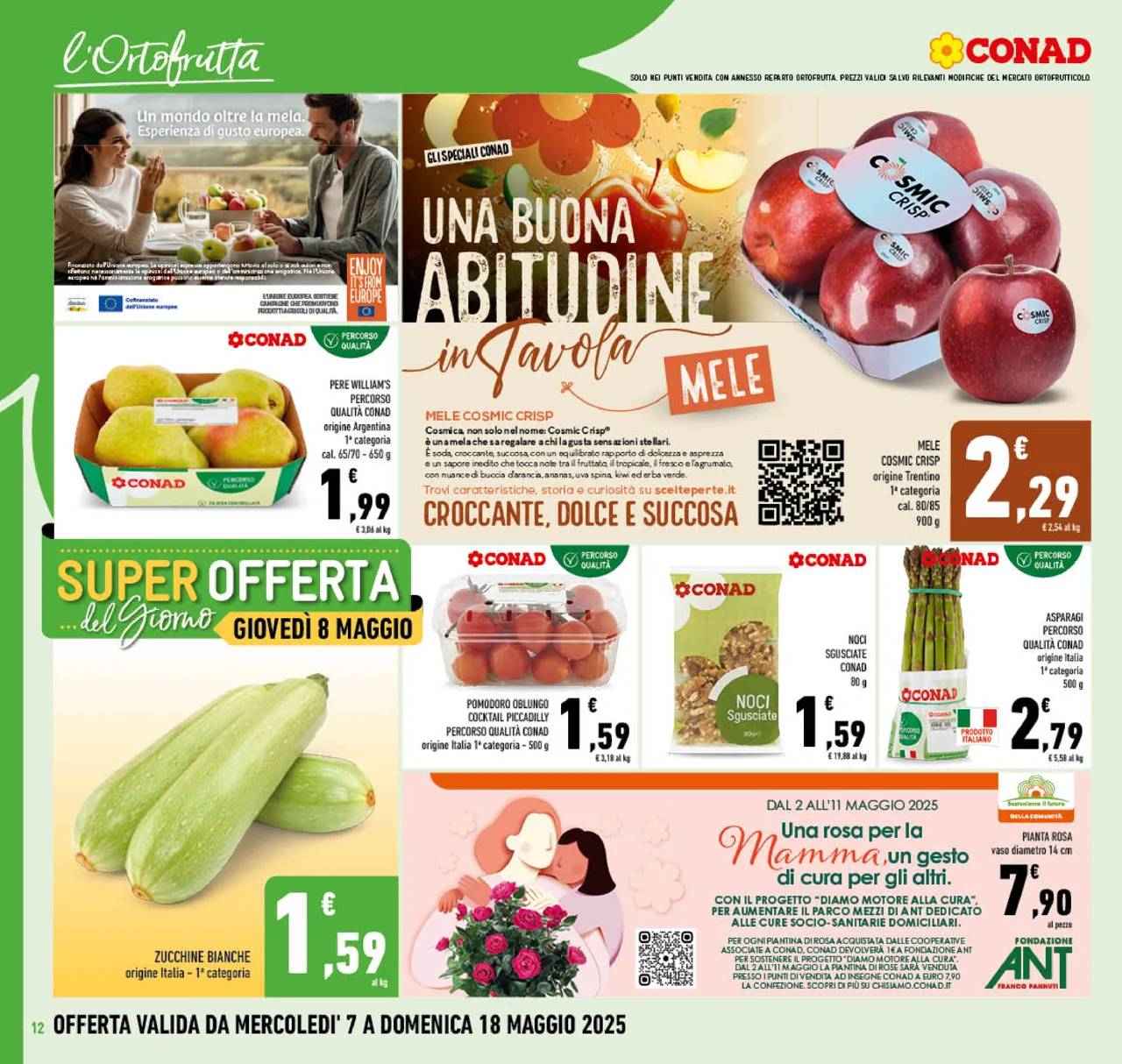 Pagina 12