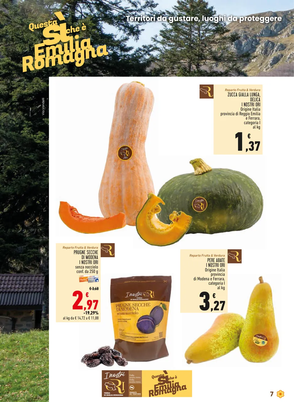 Pagina 7