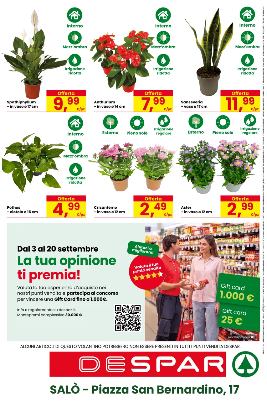 Pagina 16