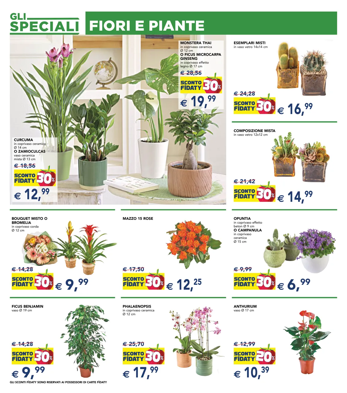 Pagina 24