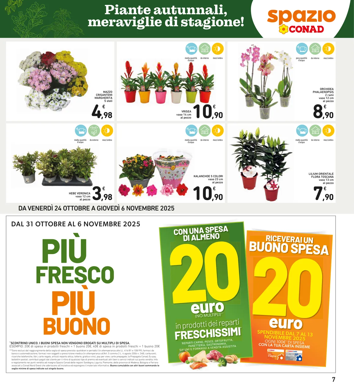 Pagina 7