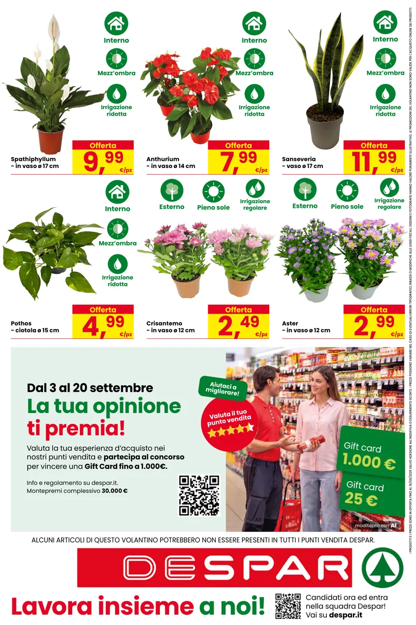 Pagina 16
