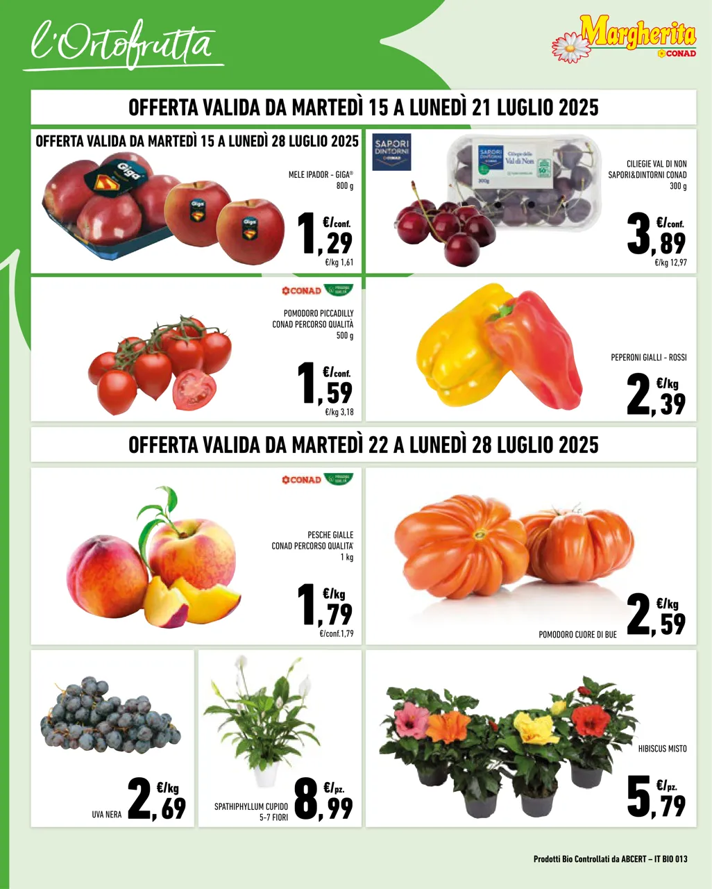 Pagina 2