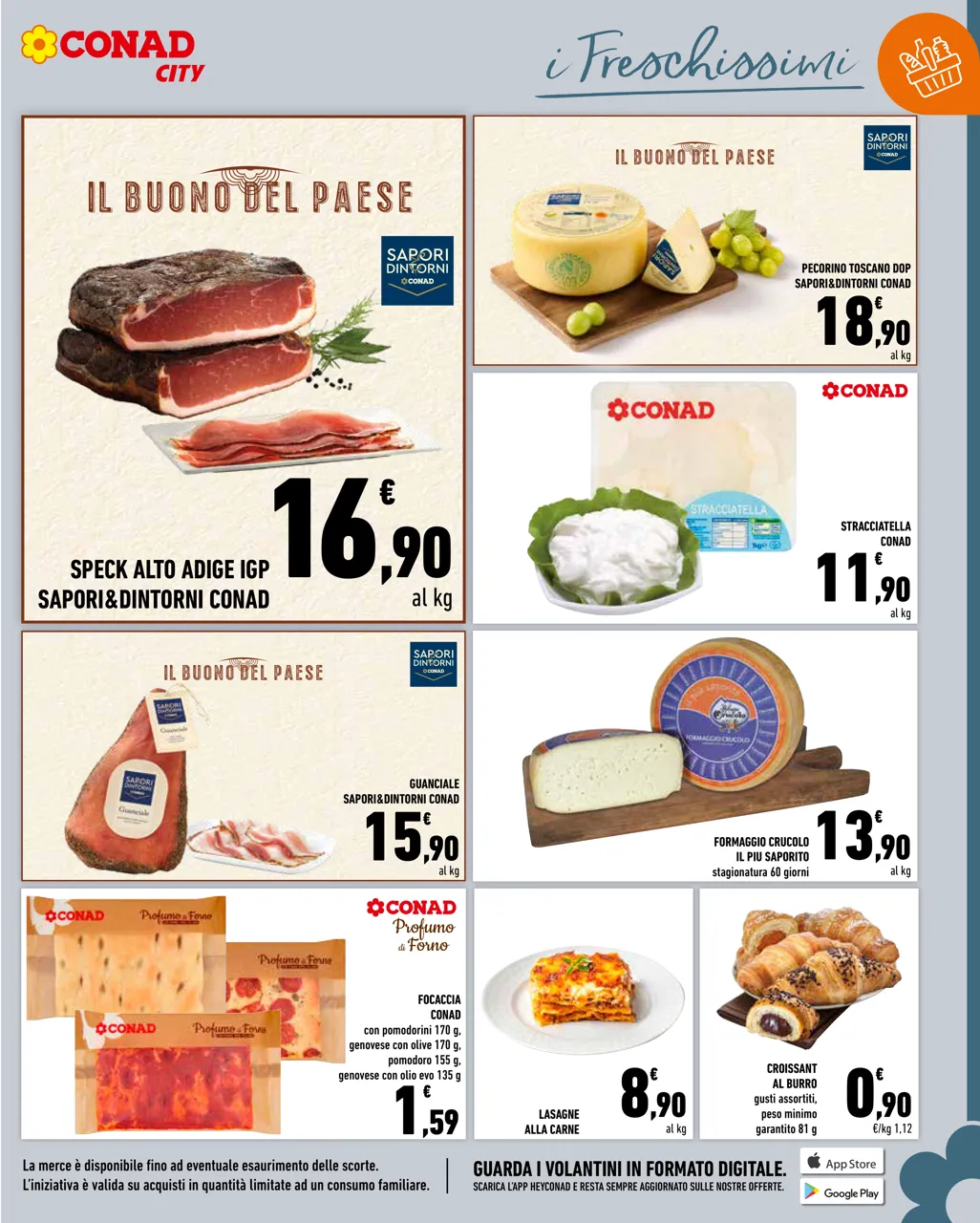 Pagina 5