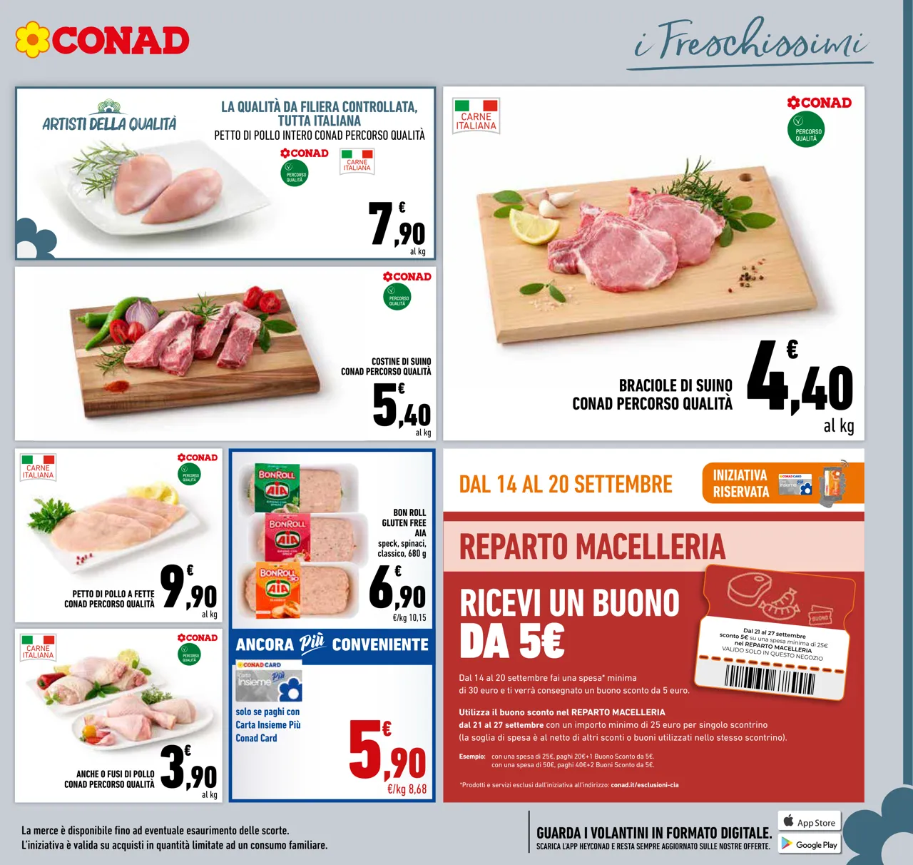 Pagina 11
