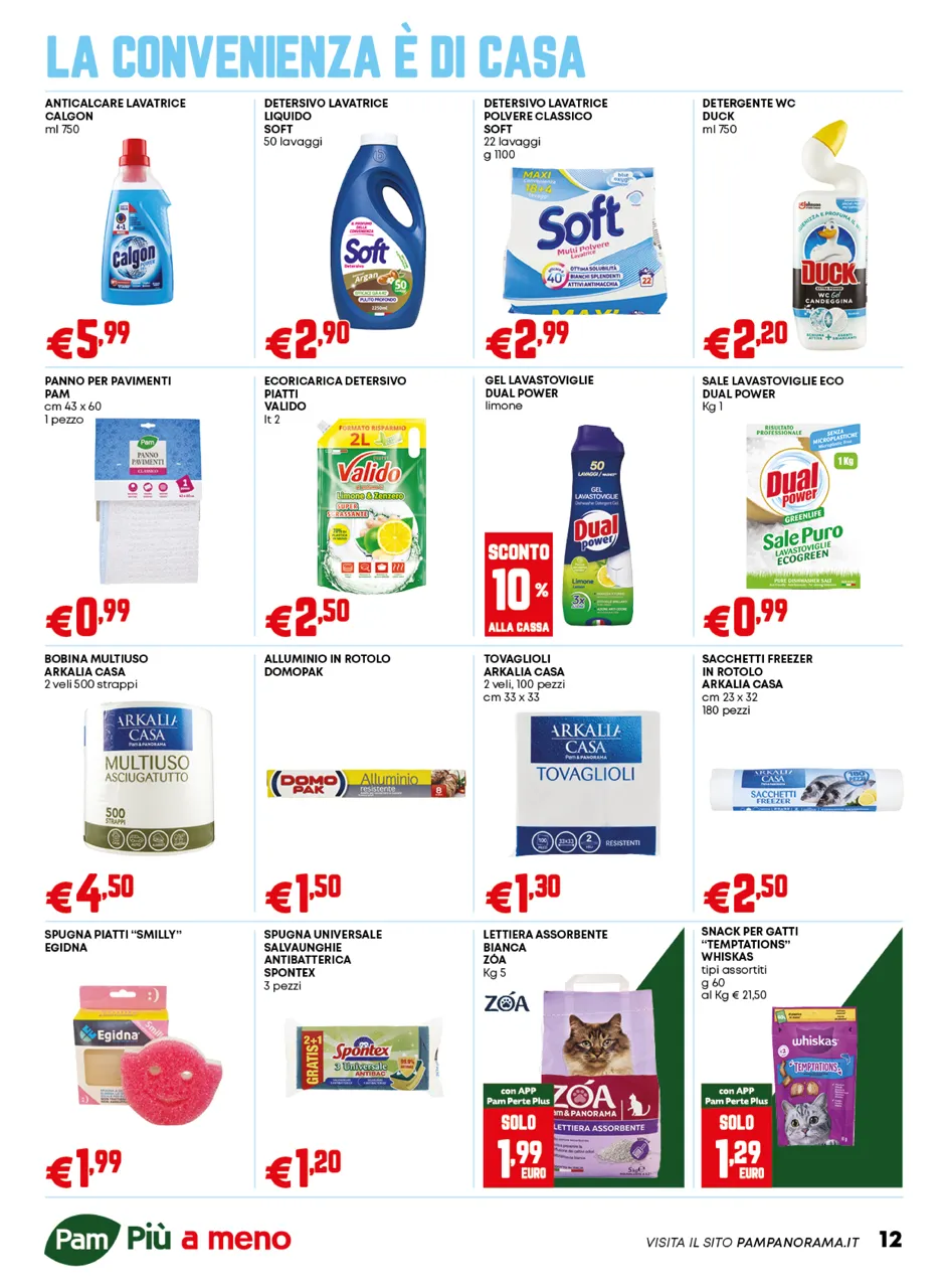 Pagina 12
